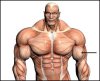 Outer-Bicep-1-300x243.jpg