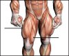 Quads-300x243.jpg