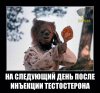 na-sleduyushhij-den-posle-inektsii-testosterona-500x469.jpg