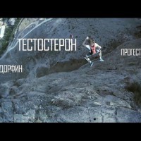 Химия нашего тела. Гормоны (2015) HD - YouTube
