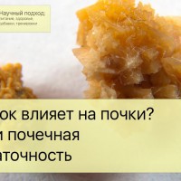 Как белок влияет на почки? Камни и почечная недостаточность - YouTube